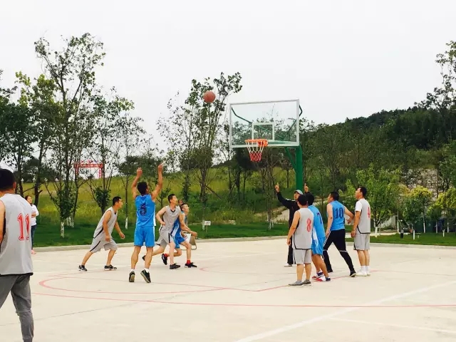 香港宝典六曲资料