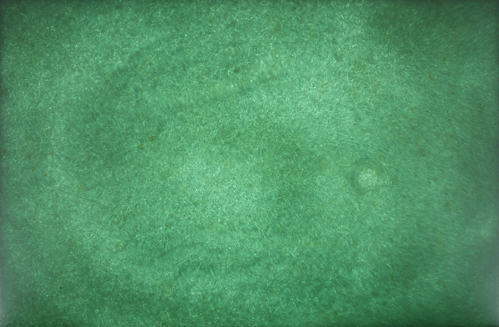 香港宝典六曲资料