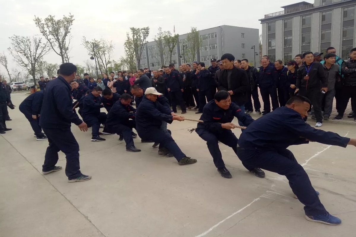 香港宝典六曲资料