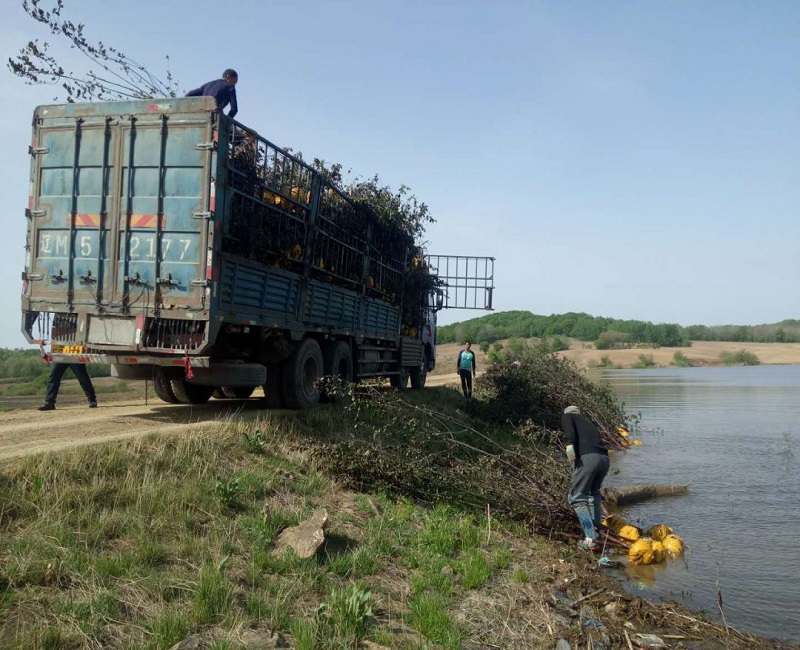 香港宝典六曲资料