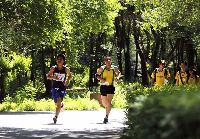 香港宝典六曲资料