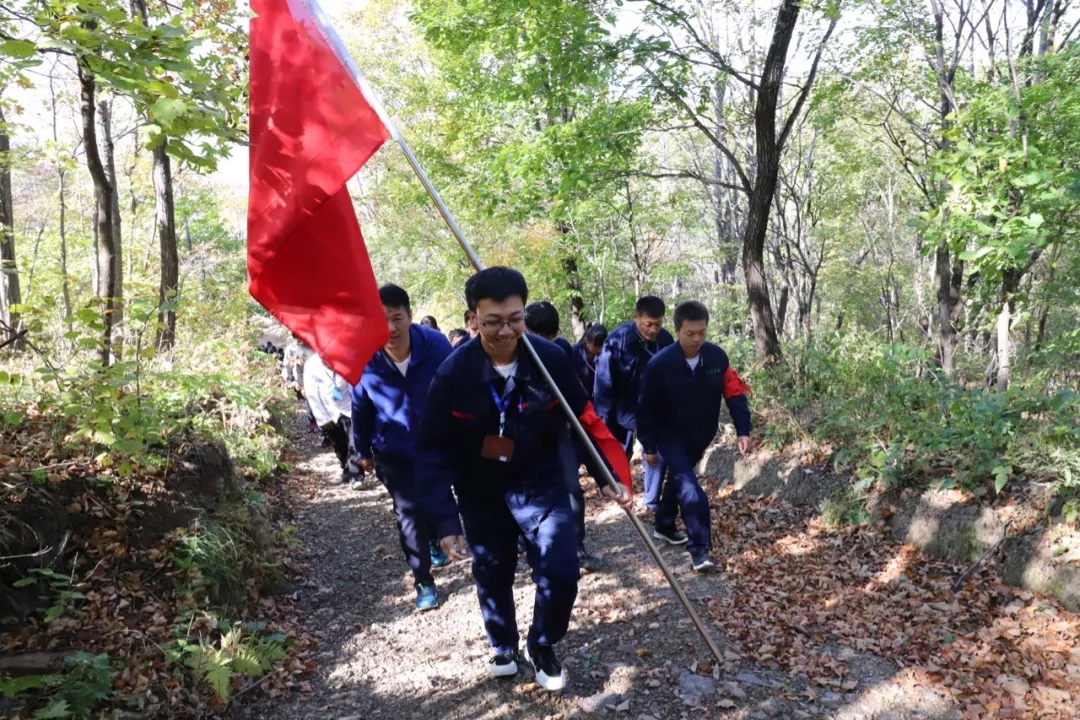 香港宝典六曲资料