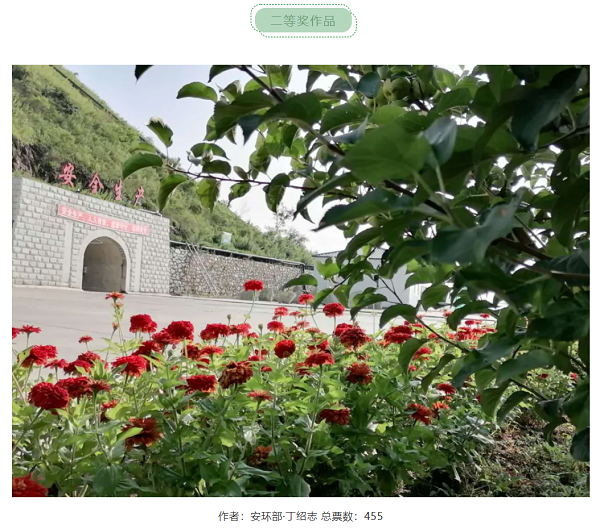 香港宝典六曲资料