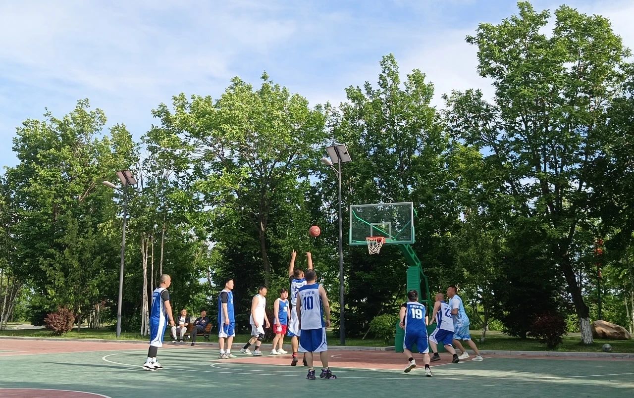 香港宝典六曲资料