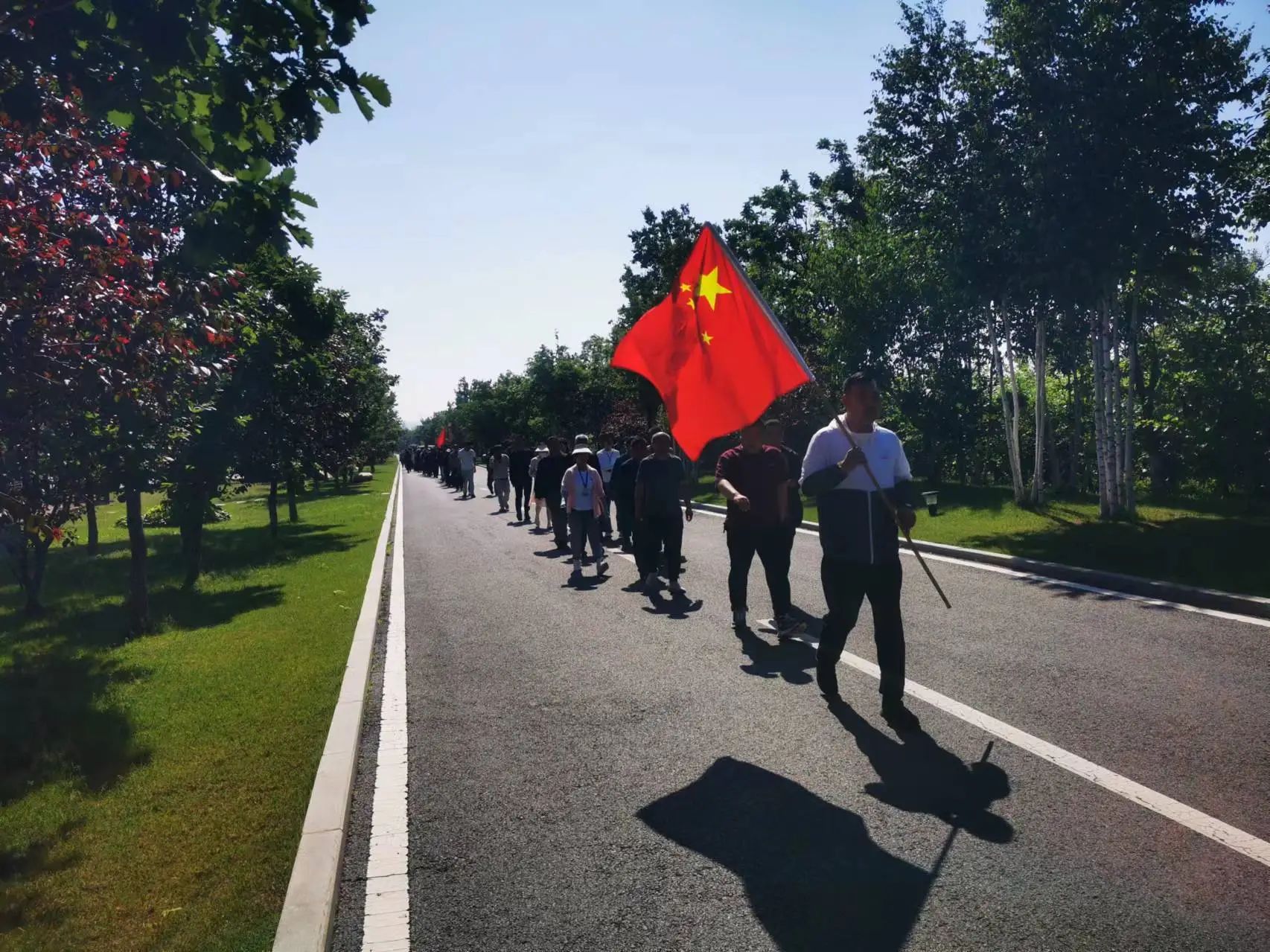 香港宝典六曲资料