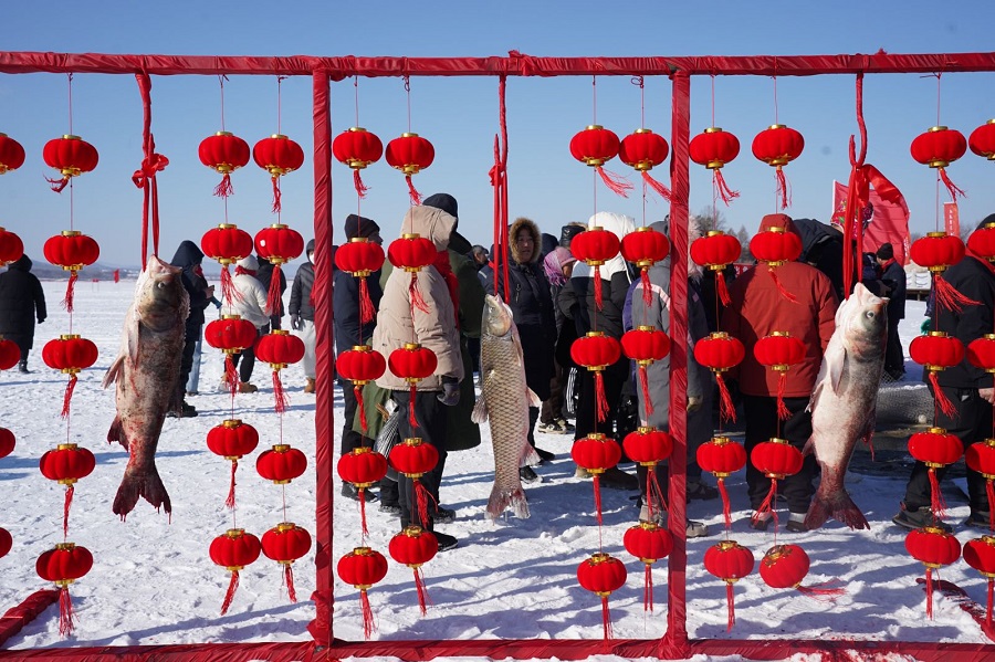香港宝典六曲资料