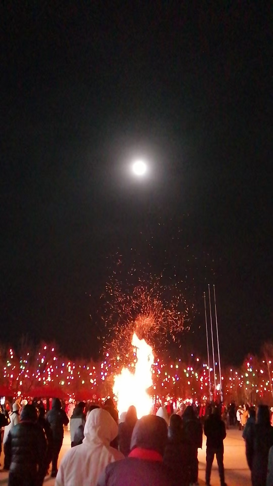 香港宝典六曲资料