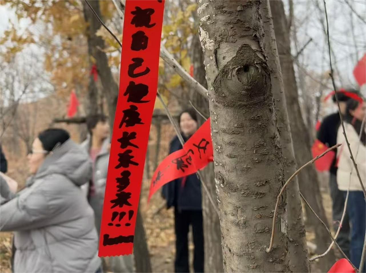 香港宝典六曲资料